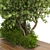 Garden Wood Pot Plant Collection 3D model small image 3