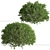 3-Piece Boxwood Shrub Set: Elegant & Evergreen 3D model small image 1