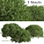 3-Piece Boxwood Shrub Set: Elegant & Evergreen 3D model small image 2