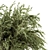 Green Oasis: Big Bush in Vase 3D model small image 4