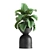 Exotic Plant Collection: Alocasia, Strelitzia, Banana Palm 3D model small image 5