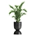 Exotic Plant Collection: Alocasia, Strelitzia, Banana Palm 3D model small image 6