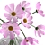 Cosmo Charm Bouquet 3D model small image 12