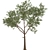 Deluxe Tree Set: 210cm & 270cm 3D model small image 2