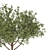 Deluxe Tree Set: 210cm & 270cm 3D model small image 3