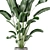 Fresh Greens: Indoor Plants Collection 3D model small image 4