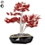 Compact Red Maple Tree 3D model small image 1