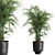 Tropical Plant Collection: Exotic & Decorative in Black Pots 3D model small image 5
