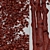 Versatile Black Alder Trees: 2-Pack 3D model small image 6