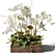 Elegant White Orchid & Succulent Arrangement 3D model small image 4