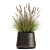 Exotic Plant Collection: Decorative Reeds & Grasses 3D model small image 4