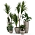 Rustic Concrete Pot with Indoor Plants - Set 97 3D model small image 2