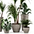 Rustic Concrete Pot with Indoor Plants - Set 97 3D model small image 3