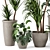 Rustic Concrete Pot with Indoor Plants - Set 97 3D model small image 4