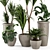 Rustic Concrete Pot with Indoor Plants - Set 97 3D model small image 6