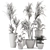 Rustic Concrete Pot with Indoor Plants - Set 97 3D model small image 7