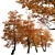 Stunning Set of Acer Buergerianum Trees 3D model small image 3