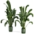 Concrete Pot Indoor Plants - Set 99 3D model small image 4