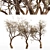 Ethereal Dead Tree Silhouette 3D model small image 1