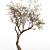 Ethereal Dead Tree Silhouette 3D model small image 2