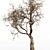 Ethereal Dead Tree Silhouette 3D model small image 3