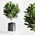 Marble Vase Collection - Indoor Plant 34 3D model small image 3