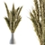 Golden Harvest Dried Wheat 3D model small image 2