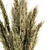 Golden Harvest Dried Wheat 3D model small image 4