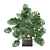 Exquisite Indoor Plant Collection 3D model small image 2