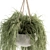 197 Indoor Hanging Plant Set 3D model small image 3