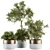 Nature's Haven: Indoor Plant Set 3D model small image 1