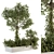 Tropical Garden Set: Tree-inspired 3D model small image 1