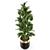 Exquisite Plants Set 471 3D model small image 2