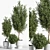 Natural Olive Indoor Plant Set 3D model small image 1