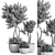 14-Piece Indoor Plant Set 3D model small image 5