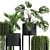 Exotic Plant Collection for Indoor and Outdoor Decor 3D model small image 3