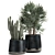 Tropical Plant Collection: Cereus, Raphis Palm & More 3D model small image 2