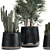 Tropical Plant Collection: Cereus, Raphis Palm & More 3D model small image 5