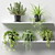 Greenery on Display: Potted Plants on Shelf 3D model small image 1