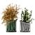 Elegant Indoor Plant Set 3D model small image 1