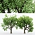 Dual Amur Cork - Broadleaf Trees 3D model small image 1