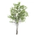 Elegant Eucalyptus Tree - 2 Pieces 3D model small image 3