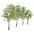 Elegant Eucalyptus Tree - 2 Pieces 3D model small image 4