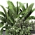 Tropical Plant Collection: Exotics for Indoor & Outdoor 3D model small image 3