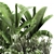 Tropical Plant Collection: Exotics for Indoor & Outdoor 3D model small image 5