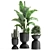 Tropical Chic Plant Collection 3D model small image 1