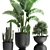Tropical Chic Plant Collection 3D model small image 5