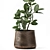 Tropical Plant Collection: Exotics in Reclaimed Iron Pots 3D model small image 3