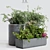 Premium Indoor Plant Decor 3D model small image 1