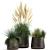 Exotic Plant Collection with Metal Pots 3D model small image 1